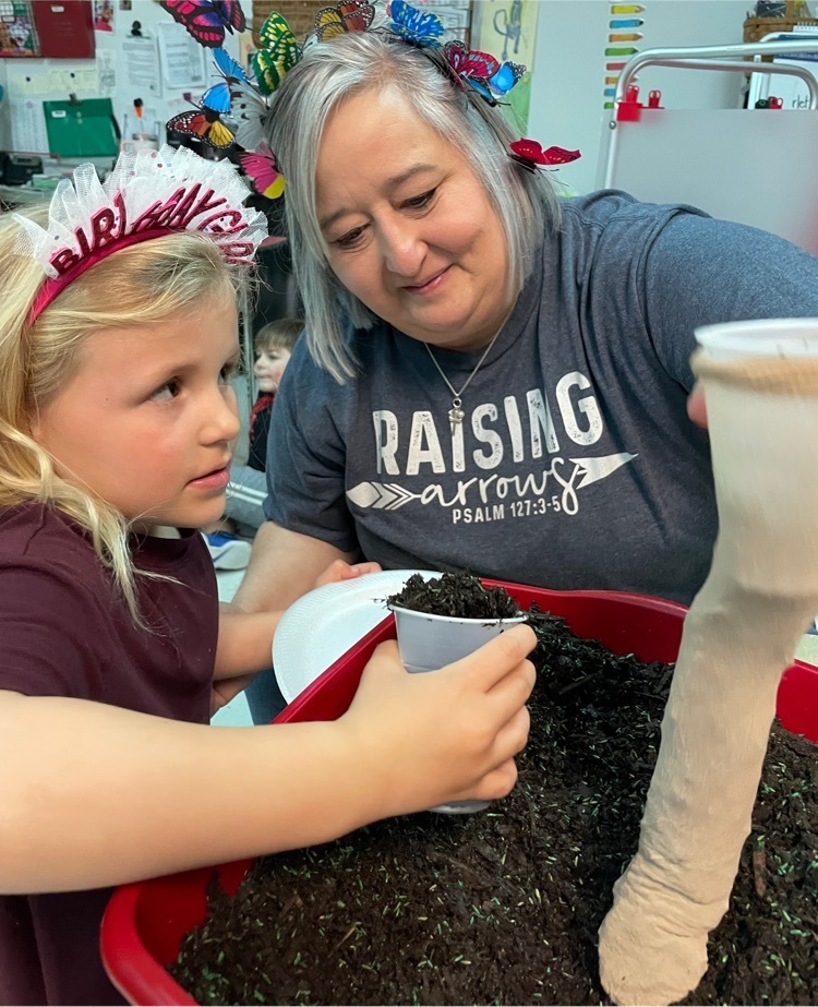 Planting caterpillar gardens.